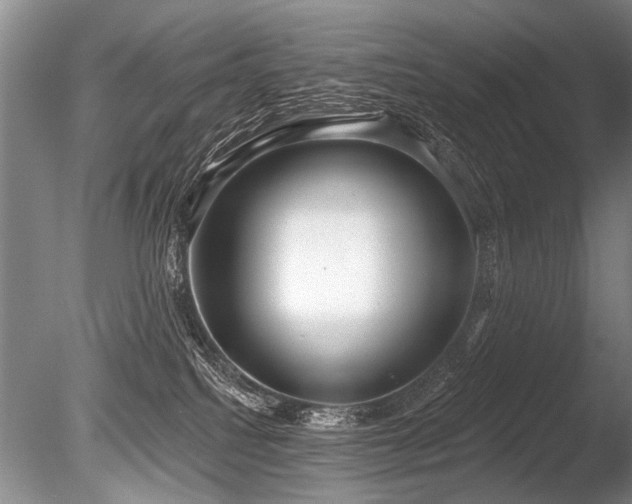 X0000086250088200703291418