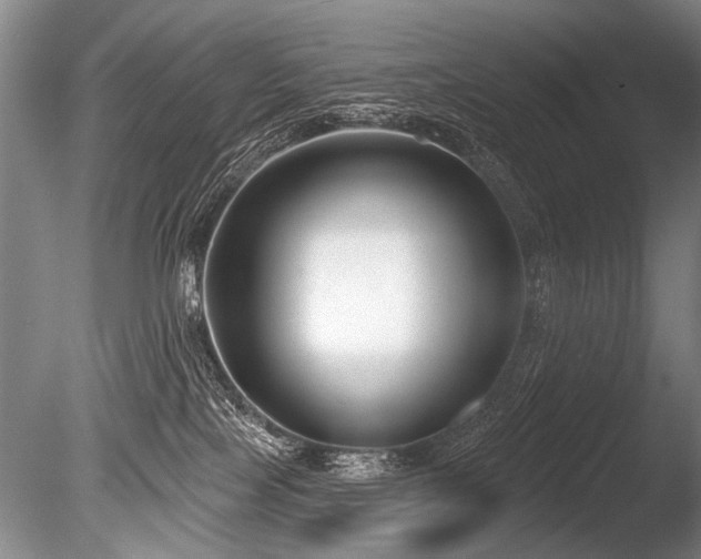 X0000086250089200703291418