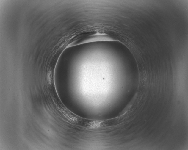 X0000086250090200703291418