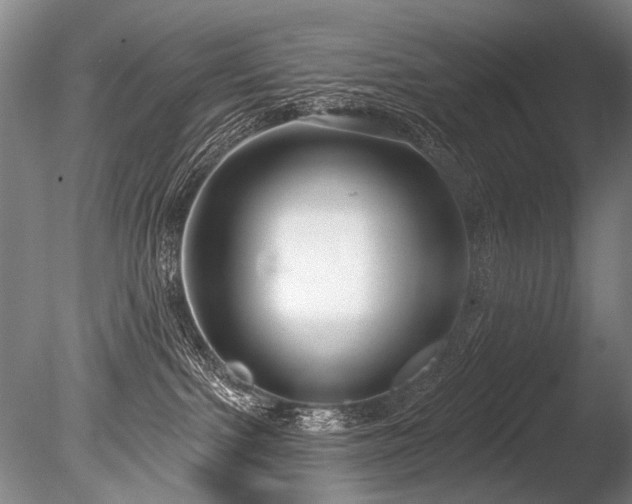 X0000086250091200703291418