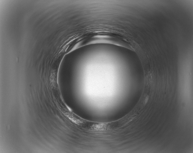 X0000086250092200703291418