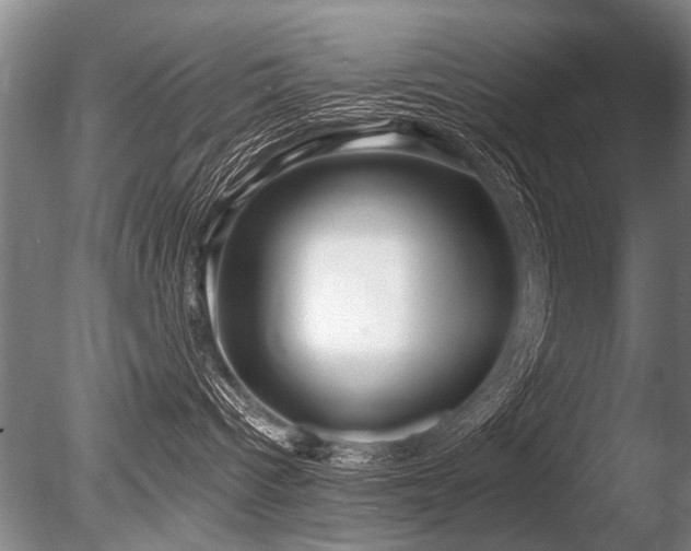 X0000086250096200703291418