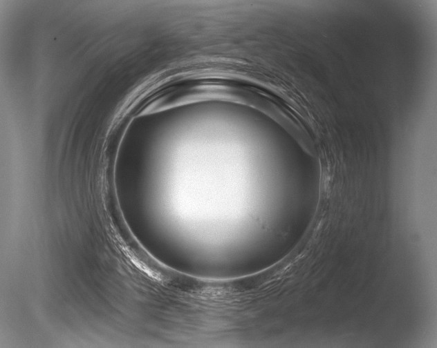 X0000086250101200703291417