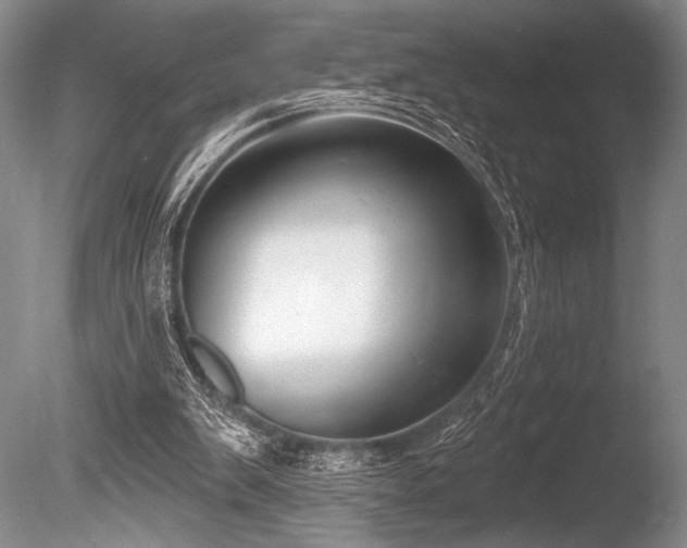 X0000086250103200703291417