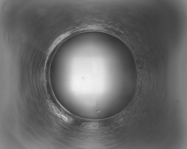 X0000086250104200703291417