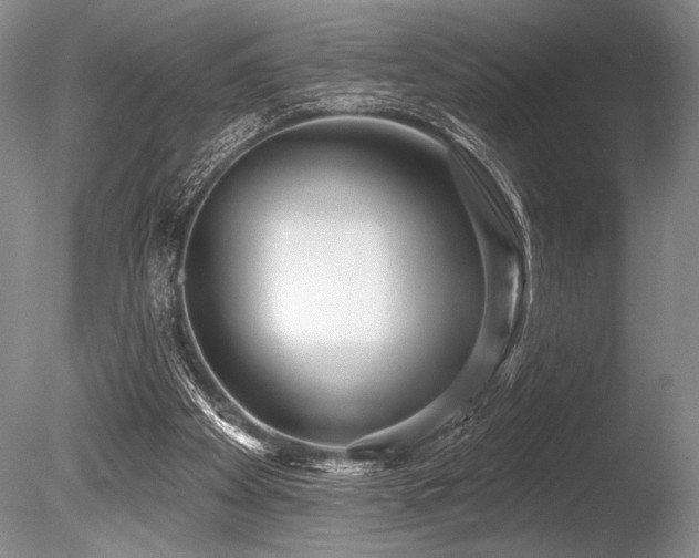 X0000086250105200703291417