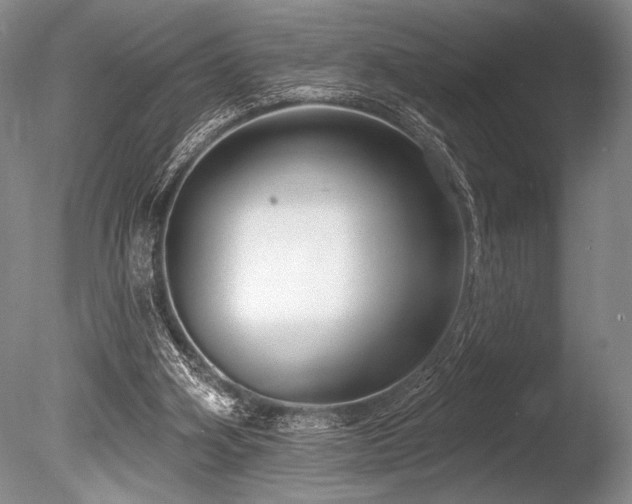 X0000086250106200703291417