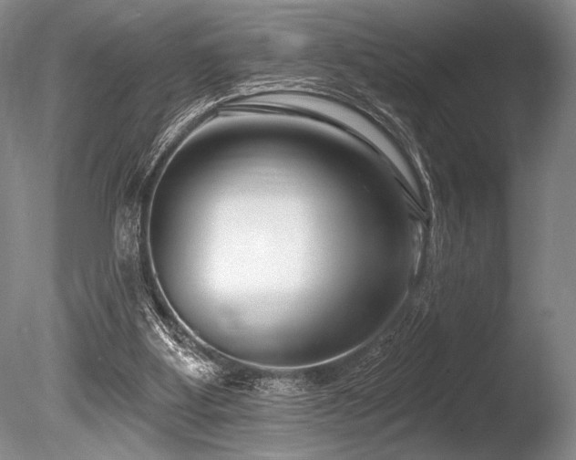 X0000086250107200703291417
