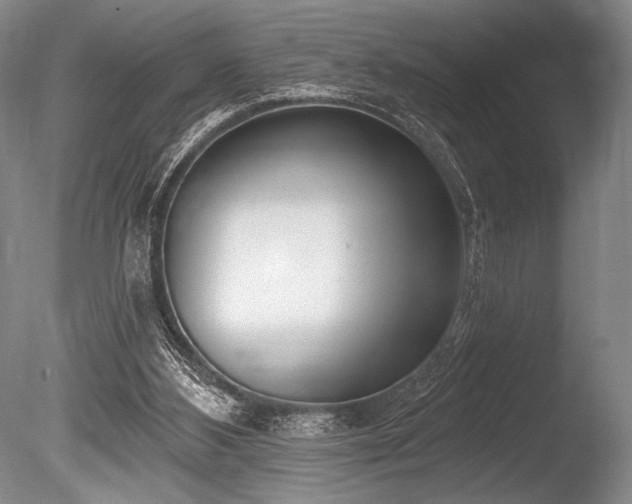 X0000086250108200703291417