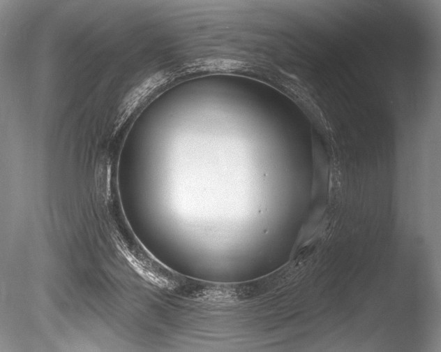 X0000086250110200703291417