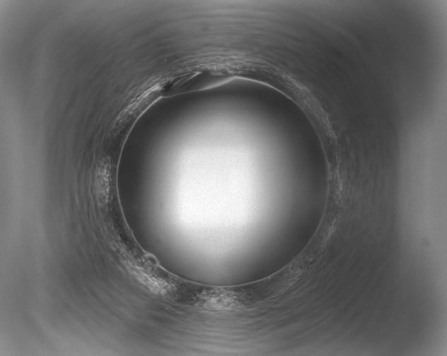 X0000086250113200703291417