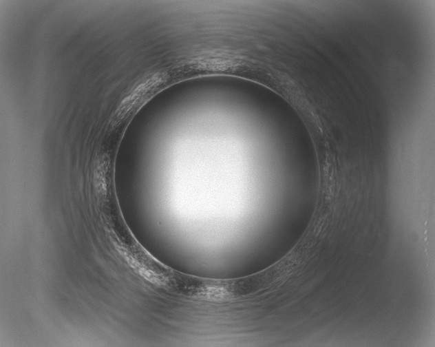 X0000086250114200703291417