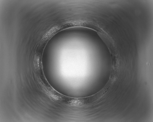 X0000086250117200703291417