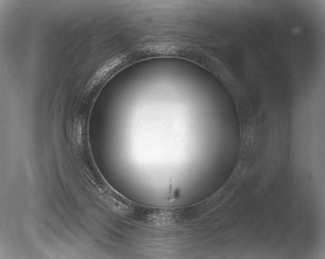 X0000086250120200703291417