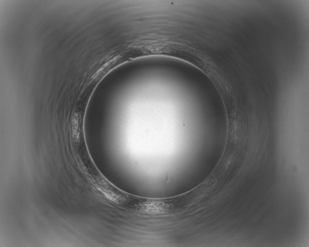X0000086250121200703291417