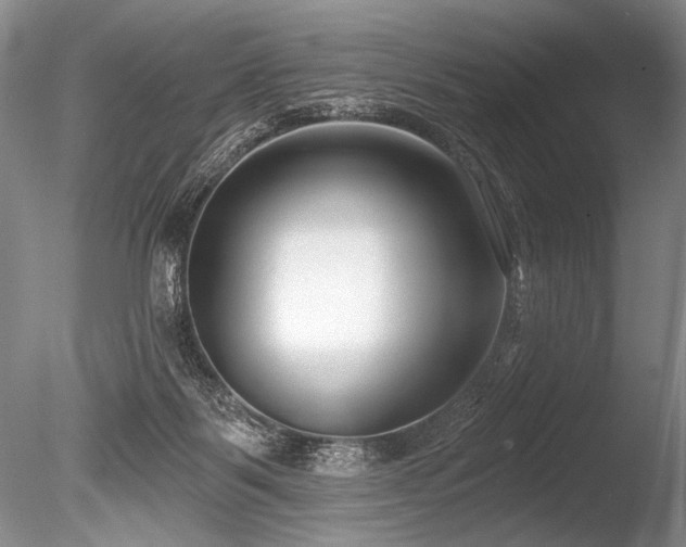 X0000086250123200703291417
