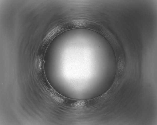 X0000086250124200703291417
