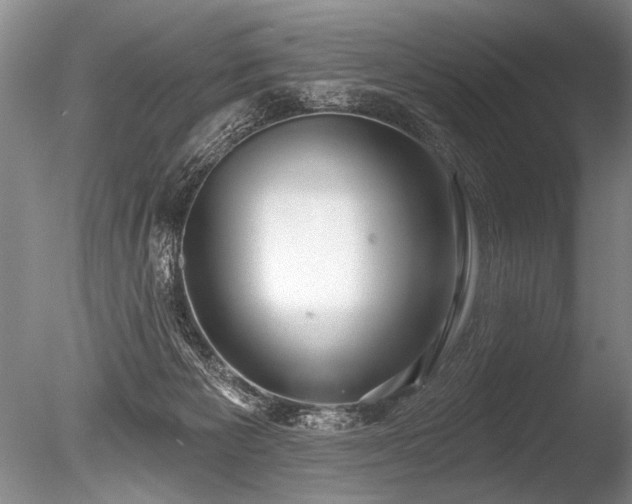 X0000086250125200703291417