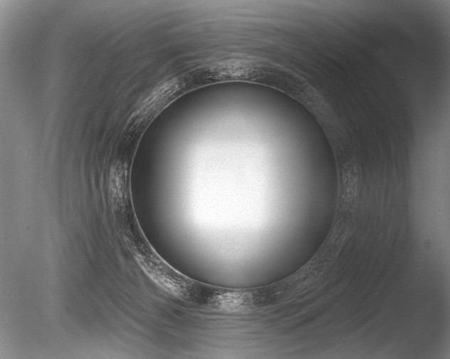 X0000086250126200703291417