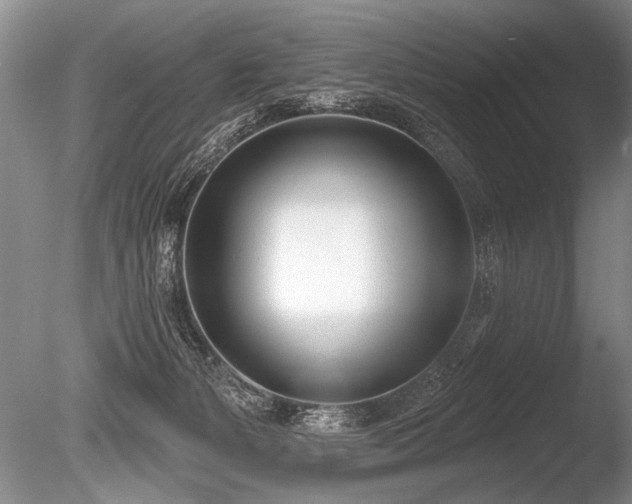 X0000086250127200703291417