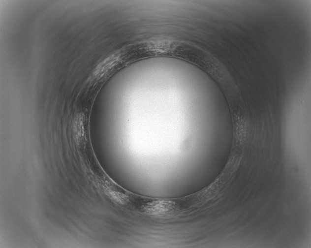 X0000086250128200703291417
