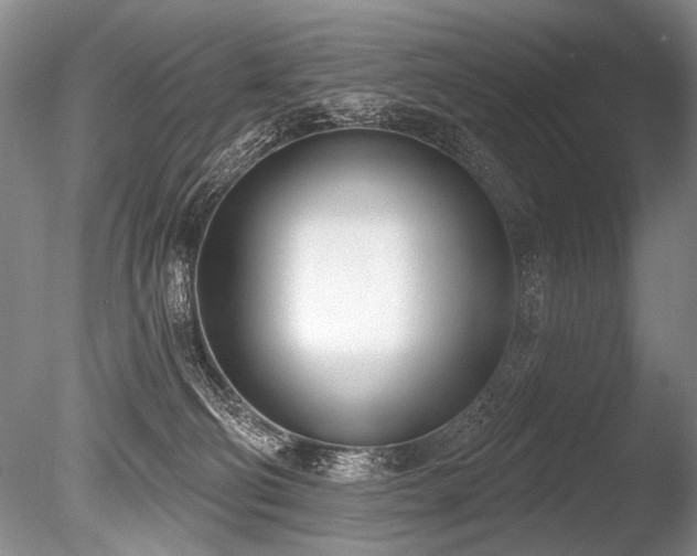 X0000086250130200703291417