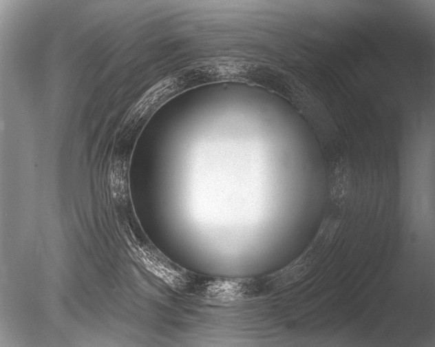X0000086250140200703291417