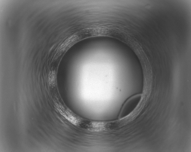 X0000086250144200703291416
