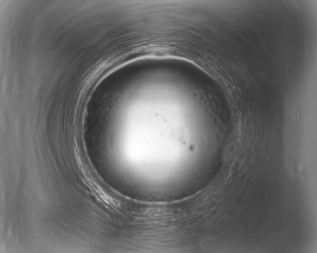 X0000086250145200703291416