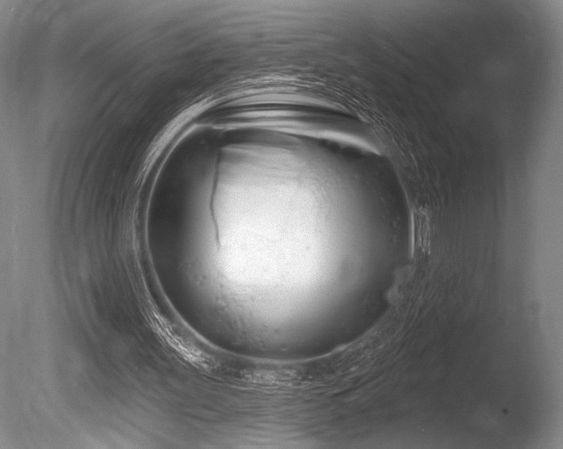 X0000086250147200703291416