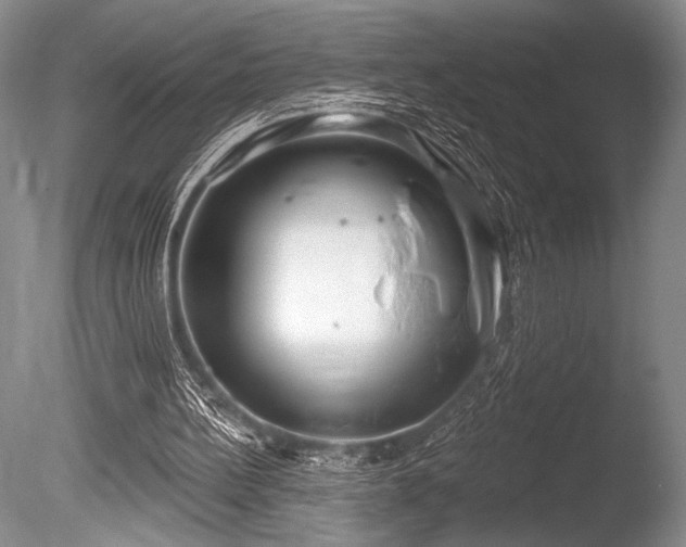 X0000086250148200703291416
