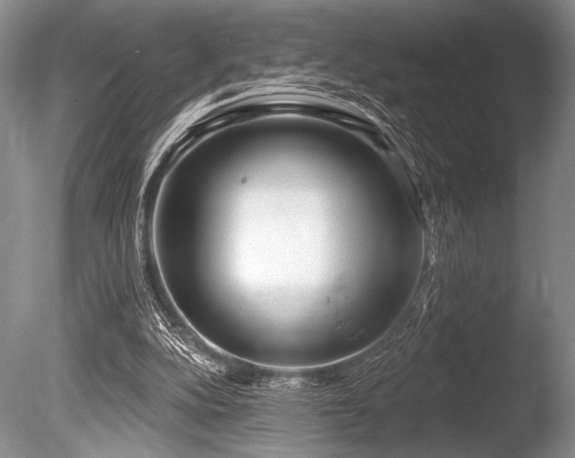X0000086250152200703291416