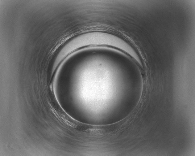 X0000086250154200703291416