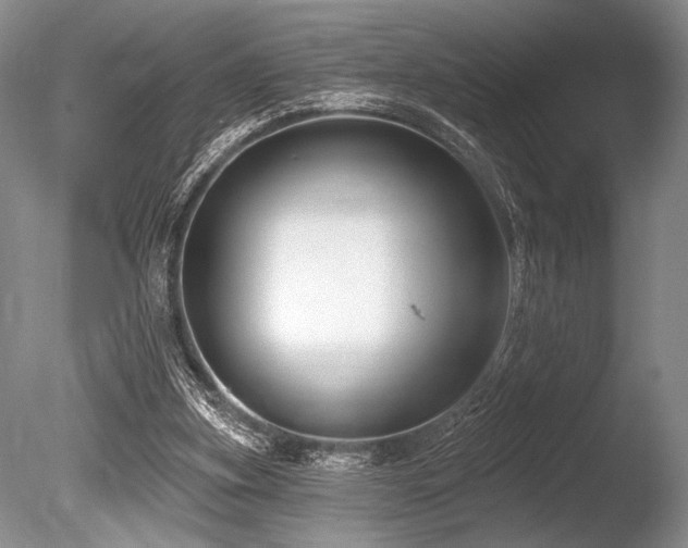 X0000086250155200703291416