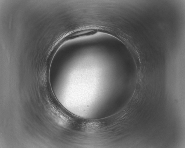 X0000086250156200703291416