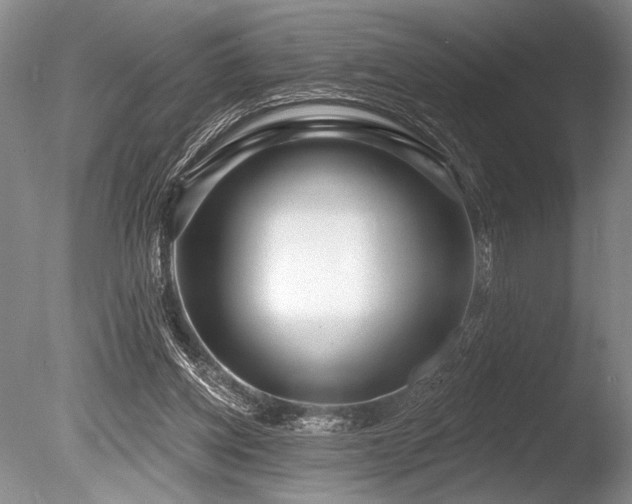 X0000086250158200703291416