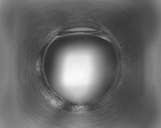 X0000086250161200703291416