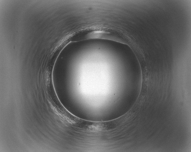X0000086250164200703291416