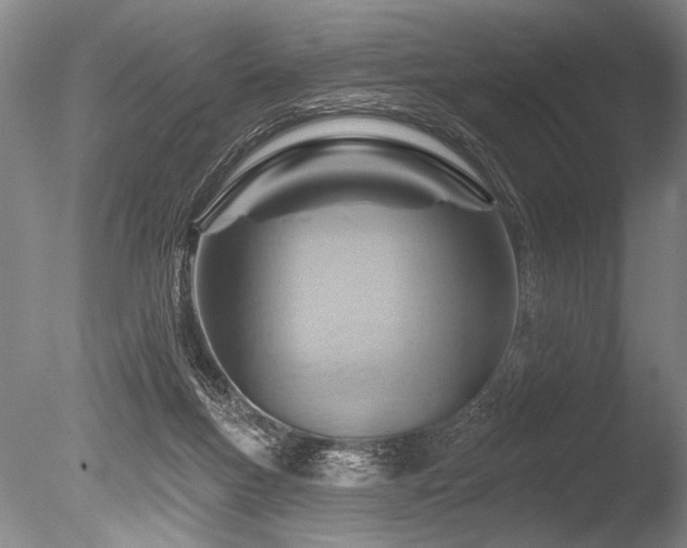 X0000086250167200703291416