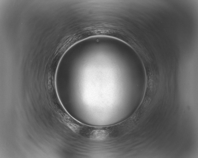 X0000086250169200703291416
