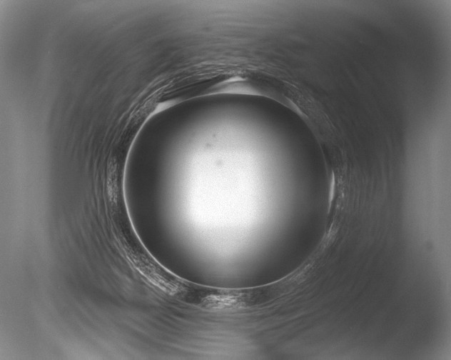 X0000086250170200703291416