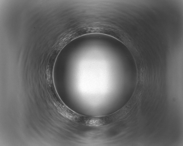 X0000086250173200703291416