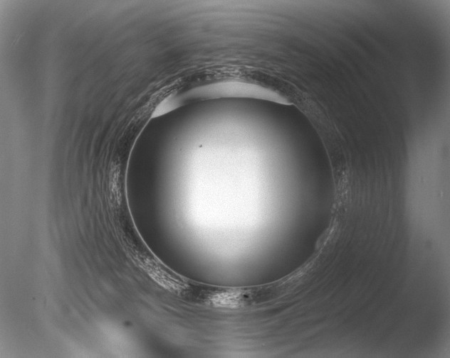 X0000086250178200703291416