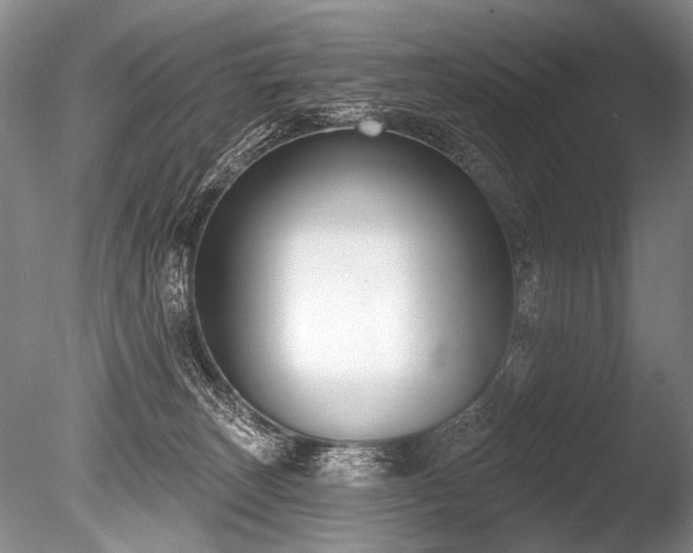 X0000086250179200703291416