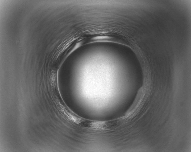 X0000086250192200703291416