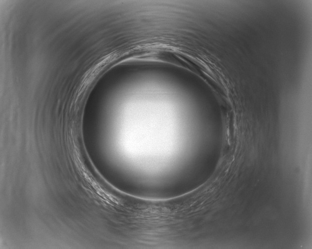 X0000086250193200703291416