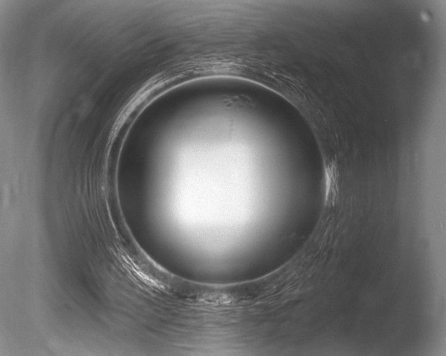X0000086250195200703291416