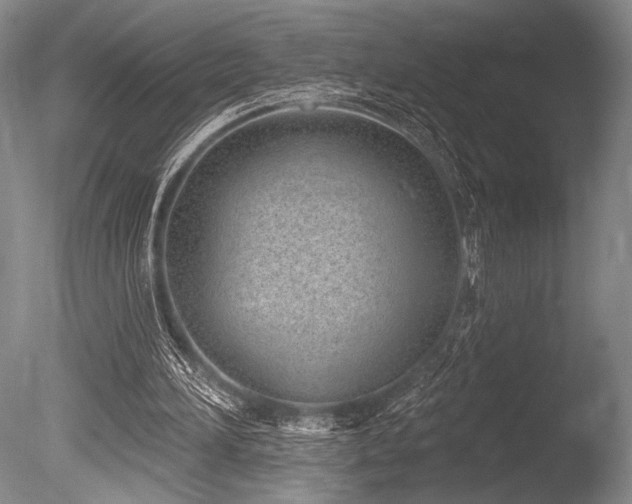 X0000086250196200703291416