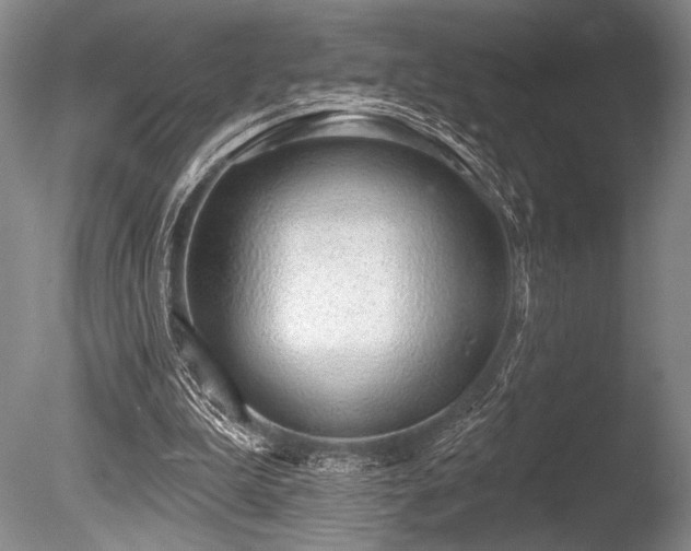 X0000086250199200703291415