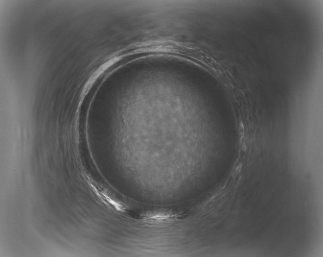X0000086250200200703291415